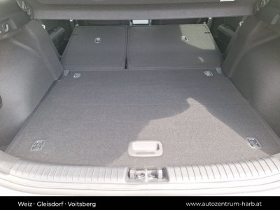 KIA Ceed Vorführwagen KIA Ceed Vorführwagen