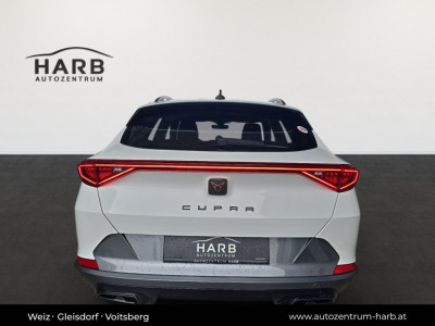 Cupra Formentor Gebrauchtwagen