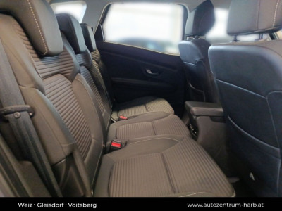 Renault Scénic Gebrauchtwagen