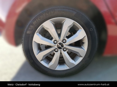 KIA Rio Gebrauchtwagen