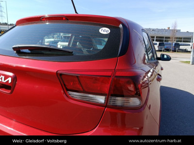KIA Rio Gebrauchtwagen