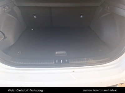 KIA Ceed Neuwagen KIA Ceed Neuwagen