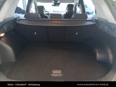 KIA Sportage Neuwagen