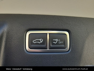 KIA Sorento Tageszulassung KIA Sorento Tageszulassung