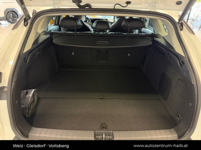 KIA K4 Neuwagen KIA K4 Neuwagen