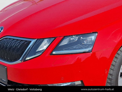 Skoda Octavia Gebrauchtwagen