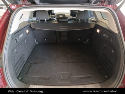 Renault Talisman Gebrauchtwagen