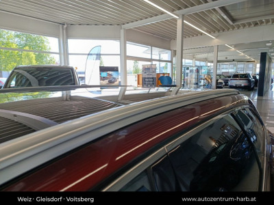 Renault Talisman Gebrauchtwagen