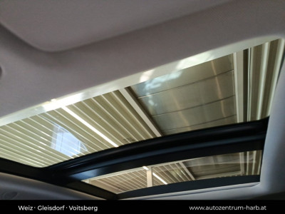 Renault Talisman Gebrauchtwagen