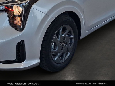 KIA Picanto Vorführwagen KIA Picanto Vorführwagen