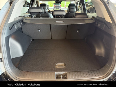 KIA Sportage Neuwagen KIA Sportage Neuwagen