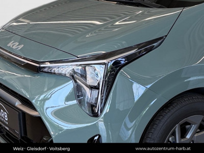 KIA Picanto Neuwagen KIA Picanto Neuwagen