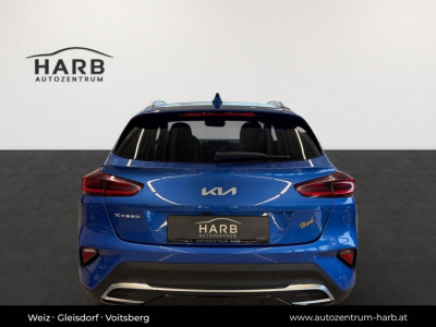 KIA XCeed Gebrauchtwagen KIA XCeed Gebrauchtwagen