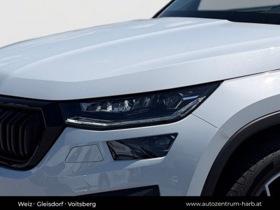 Skoda Kodiaq Gebrauchtwagen