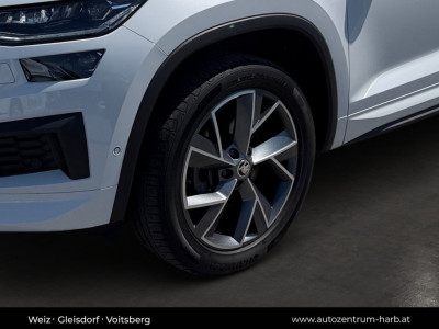 Skoda Kodiaq Gebrauchtwagen