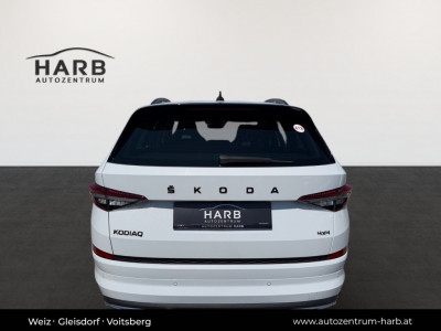 Skoda Kodiaq Gebrauchtwagen
