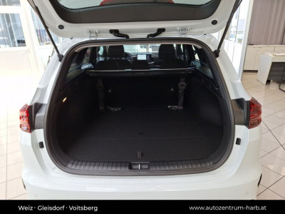 KIA Ceed Vorführwagen