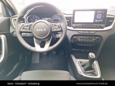 KIA Ceed Vorführwagen