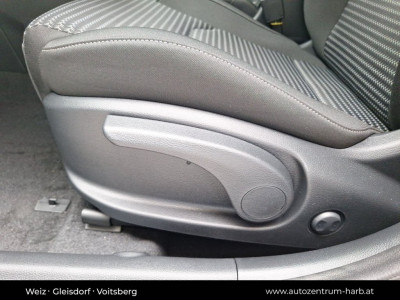 KIA Ceed Vorführwagen