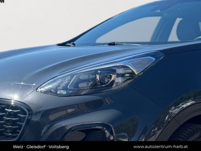 KIA Sportage Gebrauchtwagen KIA Sportage Gebrauchtwagen