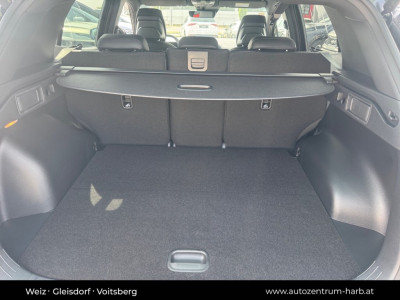 KIA Sportage Neuwagen KIA Sportage Neuwagen
