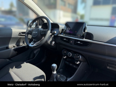 KIA Picanto Neuwagen