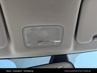 KIA Picanto Neuwagen