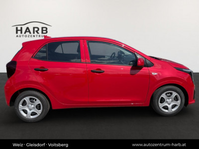 KIA Picanto Neuwagen