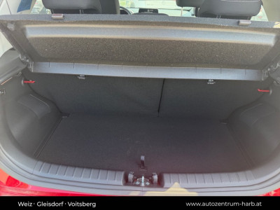 KIA Picanto Neuwagen