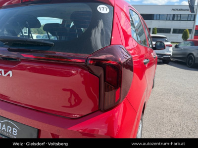 KIA Picanto Neuwagen