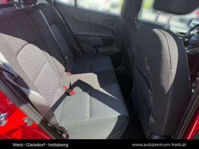 KIA Picanto Neuwagen