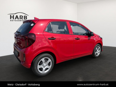 KIA Picanto Neuwagen