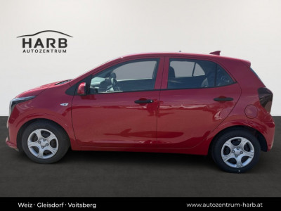 KIA Picanto Neuwagen