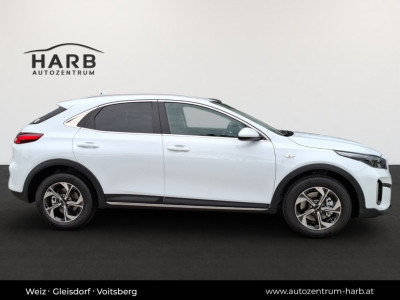 KIA XCeed Neuwagen KIA XCeed Neuwagen