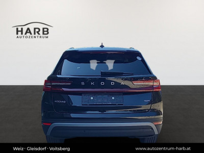 Skoda Kodiaq Gebrauchtwagen Skoda Kodiaq Gebrauchtwagen
