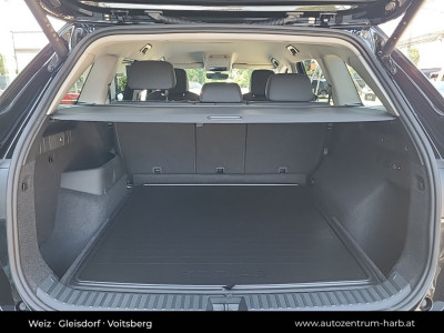 Skoda Kodiaq Gebrauchtwagen Skoda Kodiaq Gebrauchtwagen