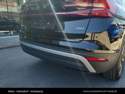 Skoda Kodiaq Gebrauchtwagen Skoda Kodiaq Gebrauchtwagen