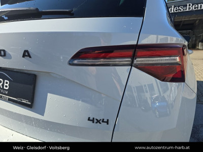 Ford Kuga Gebrauchtwagen Ford Kuga Gebrauchtwagen