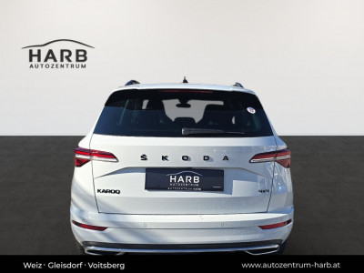 Ford Kuga Gebrauchtwagen Ford Kuga Gebrauchtwagen