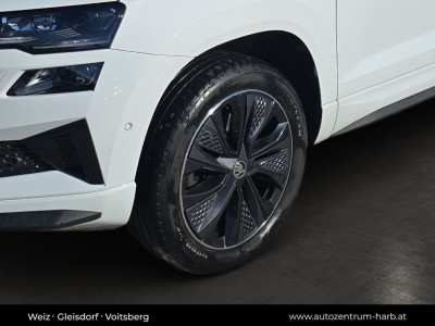 Ford Kuga Gebrauchtwagen Ford Kuga Gebrauchtwagen