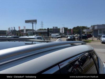 Nissan Qashqai Gebrauchtwagen Nissan Qashqai Gebrauchtwagen