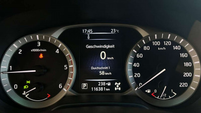 Renault Alaskan Gebrauchtwagen