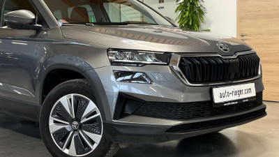 Skoda Karoq Gebrauchtwagen