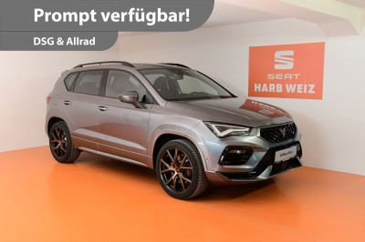 Cupra Ateca Gebrauchtwagen