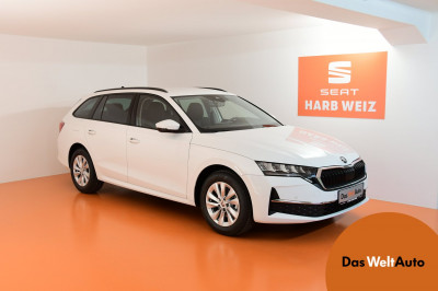 Skoda Octavia Gebrauchtwagen