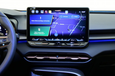 Cupra Terramar Gebrauchtwagen