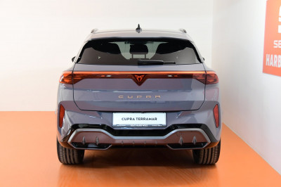 Cupra Terramar Gebrauchtwagen