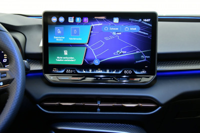 Cupra Terramar Gebrauchtwagen