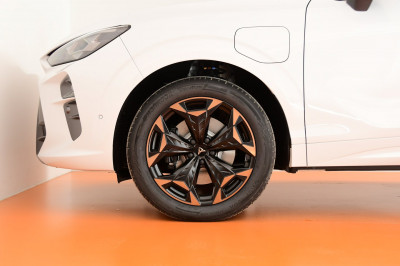 Cupra Terramar Gebrauchtwagen