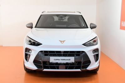 Cupra Terramar Gebrauchtwagen Cupra Terramar Gebrauchtwagen
